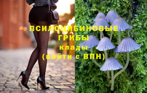 прущая мука Алзамай