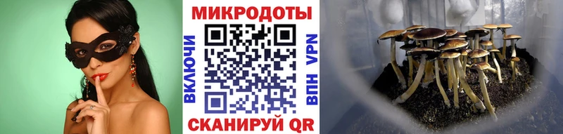 купить закладку Березники Псилоцибиновые грибы GOLDEN TEACHER
